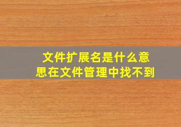 文件扩展名是什么意思在文件管理中找不到