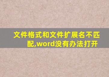 文件格式和文件扩展名不匹配,word没有办法打开