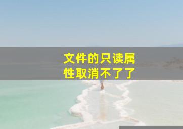 文件的只读属性取消不了了