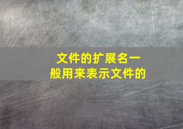 文件的扩展名一般用来表示文件的