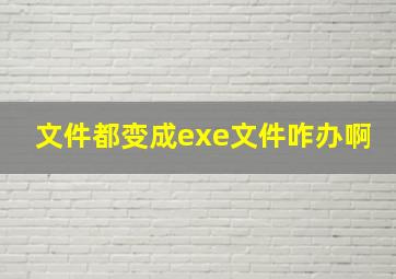 文件都变成exe文件咋办啊