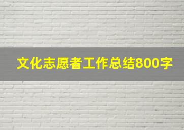 文化志愿者工作总结800字