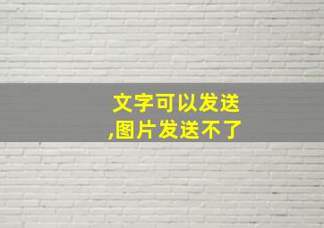 文字可以发送,图片发送不了