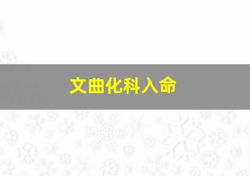 文曲化科入命