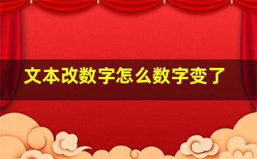 文本改数字怎么数字变了