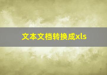 文本文档转换成xls