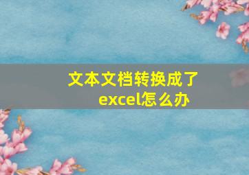 文本文档转换成了excel怎么办