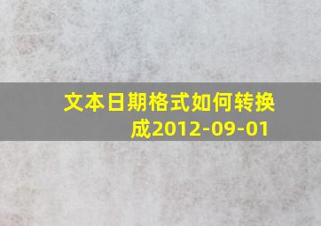 文本日期格式如何转换成2012-09-01