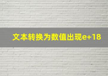 文本转换为数值出现e+18