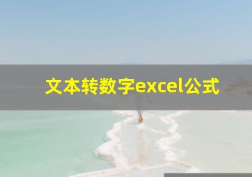 文本转数字excel公式