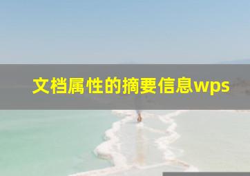 文档属性的摘要信息wps