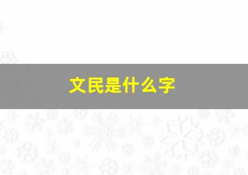 文民是什么字