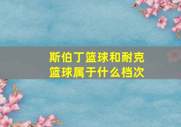 斯伯丁篮球和耐克篮球属于什么档次