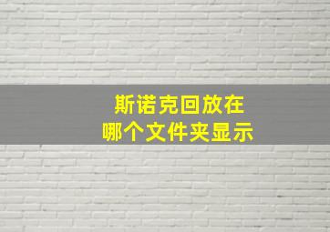 斯诺克回放在哪个文件夹显示