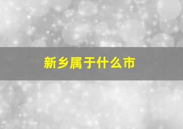 新乡属于什么市