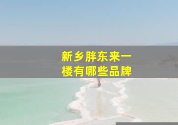 新乡胖东来一楼有哪些品牌