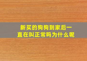 新买的狗狗到家后一直在叫正常吗为什么呢