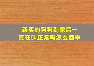 新买的狗狗到家后一直在叫正常吗怎么回事