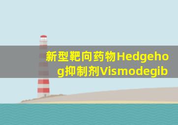 新型靶向药物Hedgehog抑制剂Vismodegib