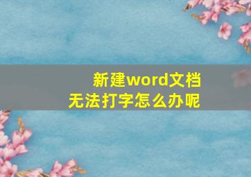 新建word文档无法打字怎么办呢