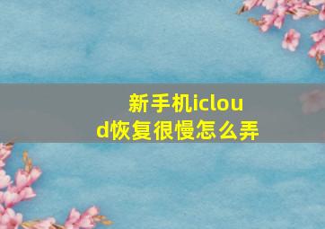 新手机icloud恢复很慢怎么弄