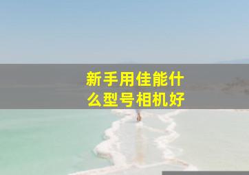 新手用佳能什么型号相机好