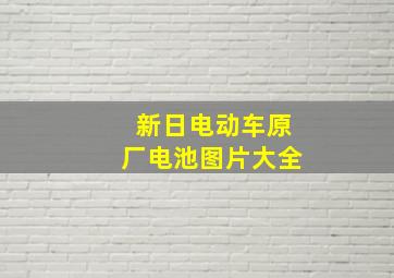 新日电动车原厂电池图片大全