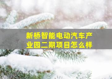 新桥智能电动汽车产业园二期项目怎么样