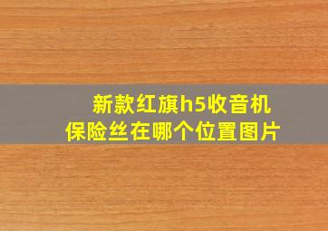 新款红旗h5收音机保险丝在哪个位置图片