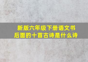 新版六年级下册语文书后面的十首古诗是什么诗