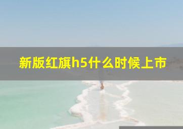 新版红旗h5什么时候上市