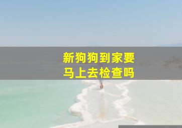 新狗狗到家要马上去检查吗