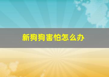 新狗狗害怕怎么办