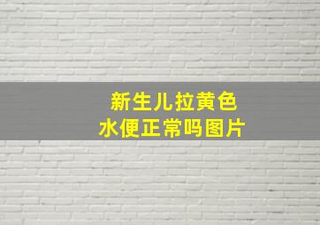 新生儿拉黄色水便正常吗图片