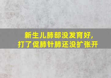 新生儿肺部没发育好,打了促肺针肺还没扩张开