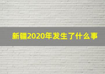 新疆2020年发生了什么事