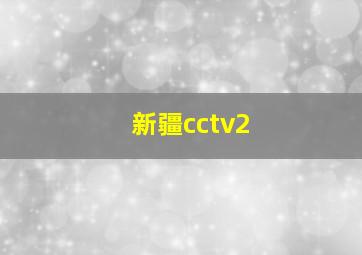 新疆cctv2