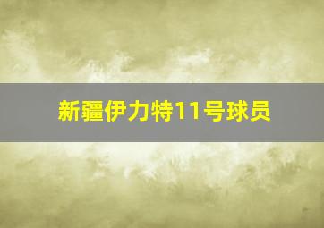 新疆伊力特11号球员