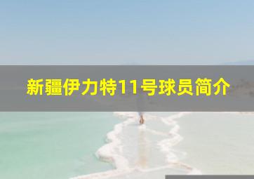 新疆伊力特11号球员简介