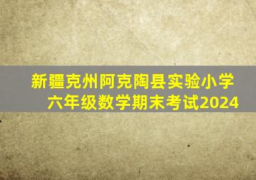 新疆克州阿克陶县实验小学六年级数学期末考试2024