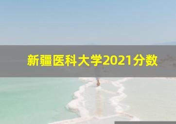 新疆医科大学2021分数