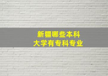 新疆哪些本科大学有专科专业