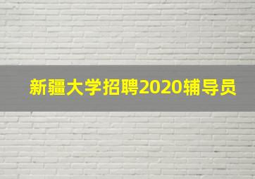 新疆大学招聘2020辅导员