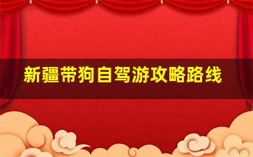 新疆带狗自驾游攻略路线