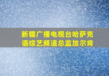 新疆广播电视台哈萨克语综艺频道总监加尔肯