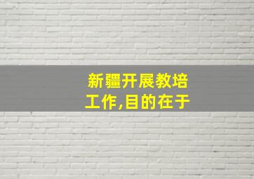 新疆开展教培工作,目的在于