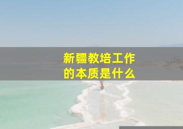 新疆教培工作的本质是什么