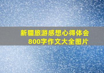 新疆旅游感想心得体会800字作文大全图片