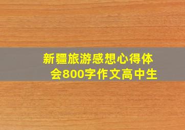 新疆旅游感想心得体会800字作文高中生