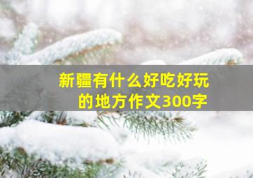 新疆有什么好吃好玩的地方作文300字